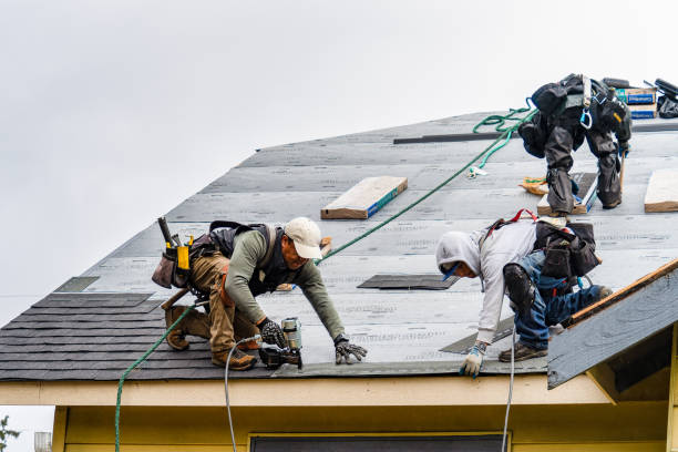 Professional Roof Replacement technician working in Simms, TX